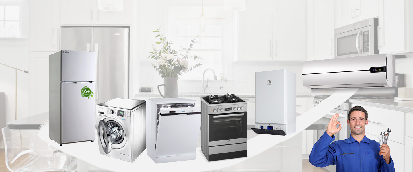 Seyrekköy Grundig Servisi